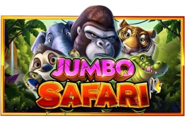 royal slots Live Casino